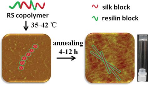  Resilin: Avancerad Biomaterial med Osannolika Elastiska Egenskaper!