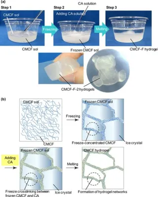  Hållbart Hydrogel - Framtidens Material i Biomedicin och Vattenrening?