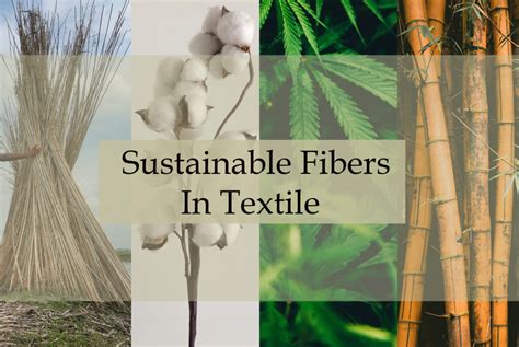  Yucca fiber – Det hållbara alternativet för textilindustrin!